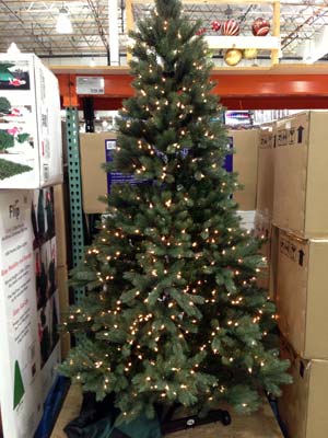 Costco Christmas Trees 2012  Costco Insider