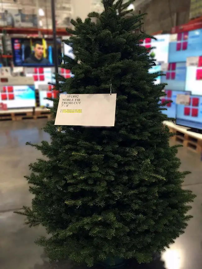 real christmas tree Costco Insider